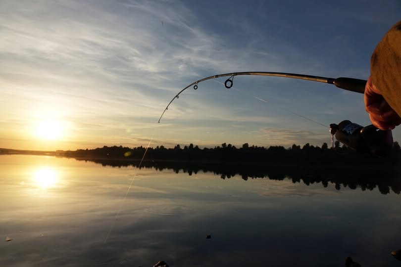 A person holding a fishing rod over calm water at sunset on Farm Island, with the sun low on the horizon and trees silhouetted in the background—a scene perfect for any fishing guide.