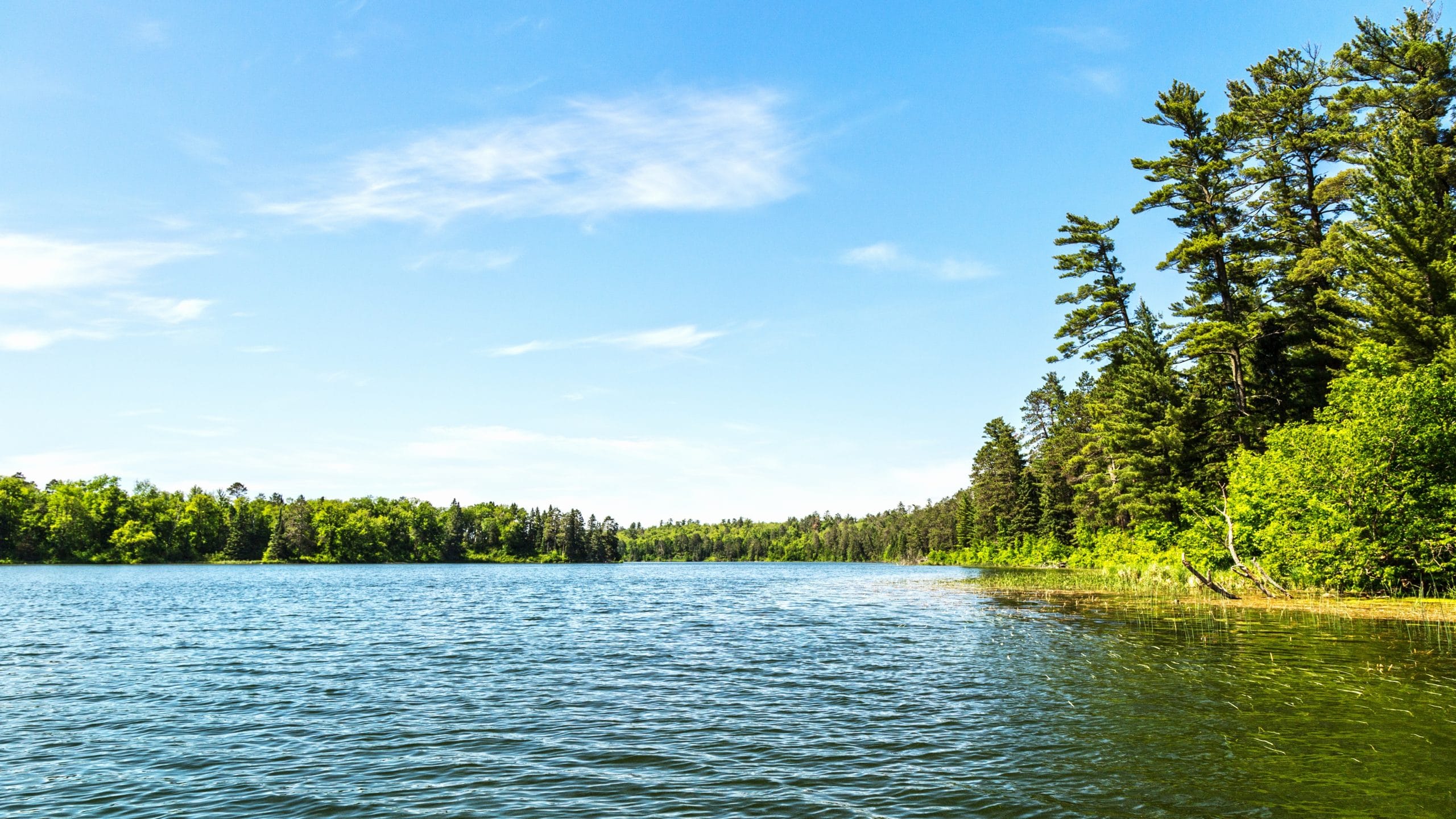 A calm lake with clear blue water, bordered by lush green trees and tall pines under a bright, sunny sky with a few wispy clouds.