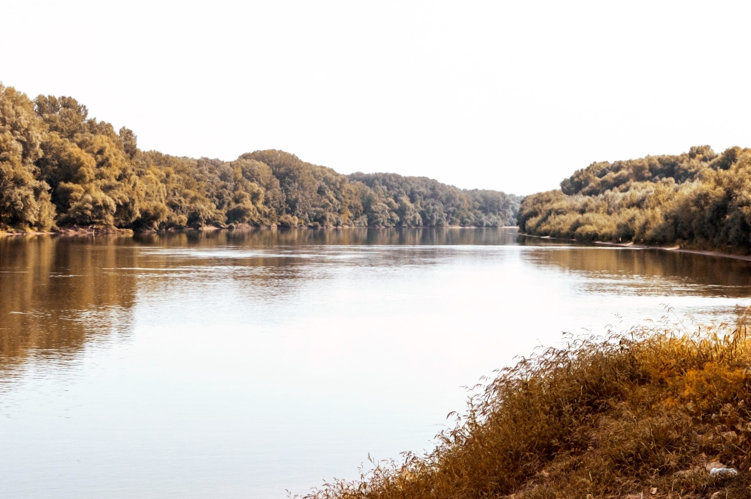 A calm river reflecting the sky, bordered by dense green trees on both sides, with tall grass in the foreground under soft sunlight.